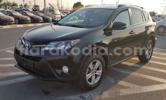Hividy Toyota RAV4 Black Car in Import - Dubai in Diana Hividy Toyota RAV4 Black Car in Import - Dubai in Diana