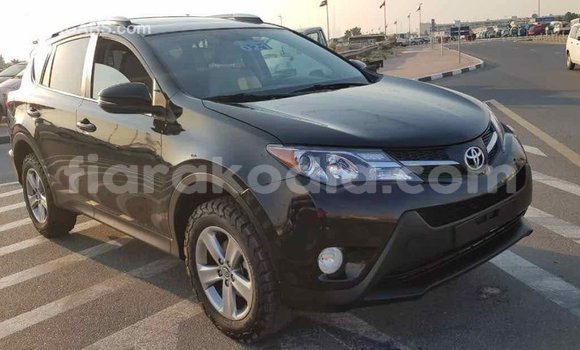 Hividy Toyota RAV4 Black Car in Import - Dubai in Diana Hividy Toyota RAV4 Black Car in Import - Dubai in Diana