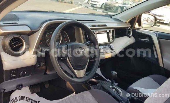 Hividy Toyota RAV4 Black Car in Import - Dubai in Diana Hividy Toyota RAV4 Black Car in Import - Dubai in Diana