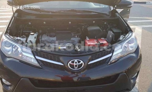 Hividy Toyota RAV4 Black Car in Import - Dubai in Diana Hividy Toyota RAV4 Black Car in Import - Dubai in Diana