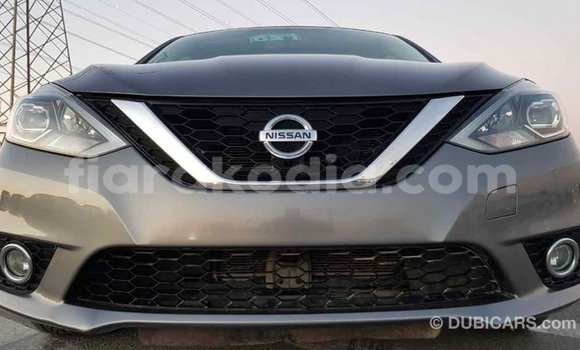 Hividy Nissan Sentra Hafa Car in Import - Dubai in Diana Hividy Nissan Sentra Hafa Car in Import - Dubai in Diana