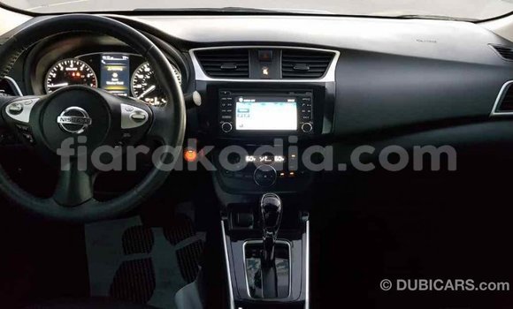 Hividy Nissan Sentra Hafa Car in Import - Dubai in Diana Hividy Nissan Sentra Hafa Car in Import - Dubai in Diana