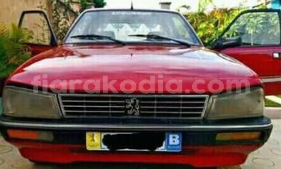 Acheter Occasion Voiture Peugeot 505 Rouge à Antananarivo, Analamanga Acheter Occasion Voiture Peugeot 505 Rouge à Antananarivo, Analamanga