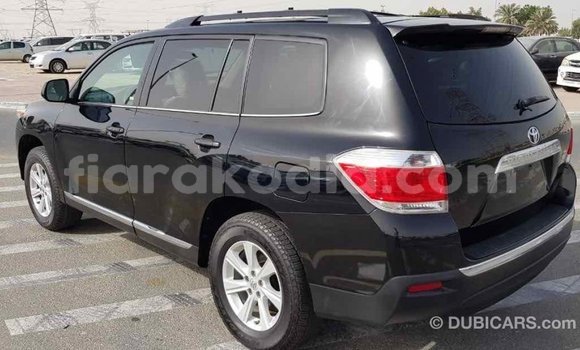 Hividy Toyota Highlander Black Car in Import - Dubai in Diana Hividy Toyota Highlander Black Car in Import - Dubai in Diana