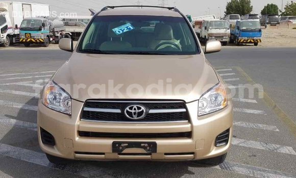 Hividy Toyota RAV4 Hafa Car in Import - Dubai in Diana Hividy Toyota RAV4 Hafa Car in Import - Dubai in Diana