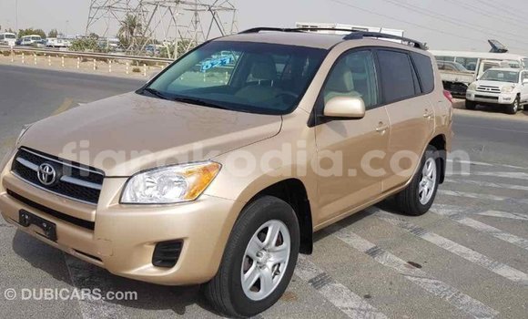 Hividy Toyota RAV4 Hafa Car in Import - Dubai in Diana Hividy Toyota RAV4 Hafa Car in Import - Dubai in Diana