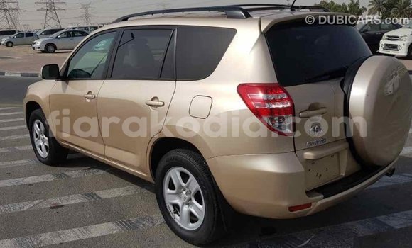 Hividy Toyota RAV4 Hafa Car in Import - Dubai in Diana Hividy Toyota RAV4 Hafa Car in Import - Dubai in Diana