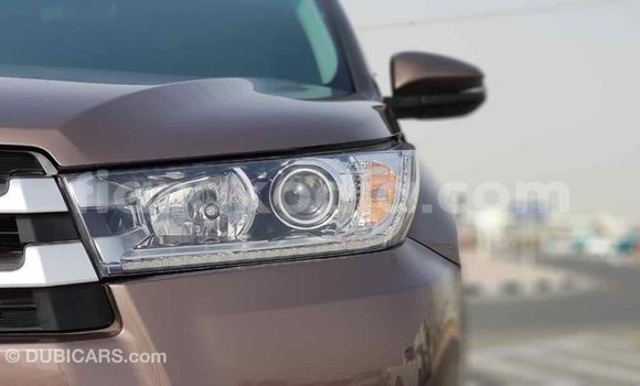 Buy Import Toyota Highlander Brown Car in Import - Dubai in Diana Buy Import Toyota Highlander Brown Car in Import - Dubai in Diana
