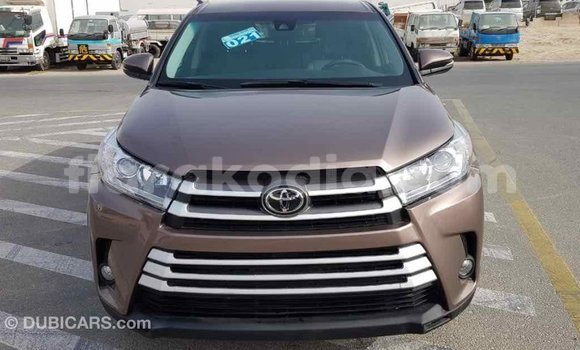 Buy Import Toyota Highlander Brown Car in Import - Dubai in Diana Buy Import Toyota Highlander Brown Car in Import - Dubai in Diana