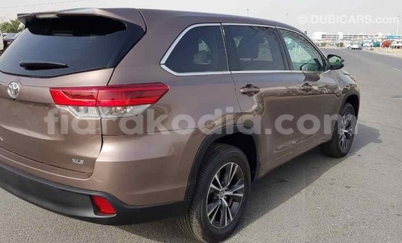 Buy Import Toyota Highlander Brown Car in Import - Dubai in Diana Buy Import Toyota Highlander Brown Car in Import - Dubai in Diana