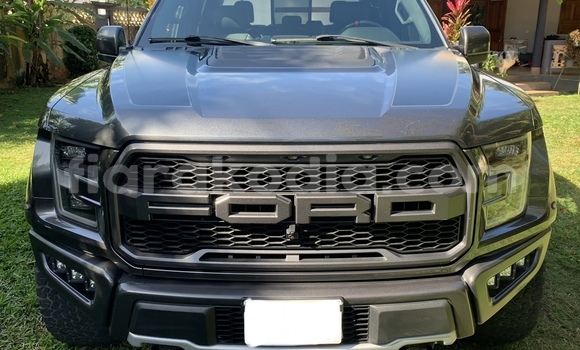 Acheter Occasion Voiture Ford F–150 Gris à Ambodifototra, Toamasina