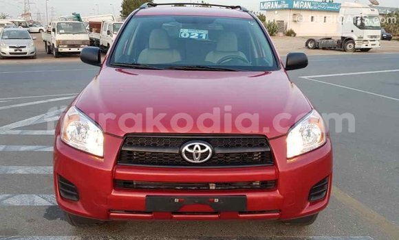 Hividy Toyota RAV4 Red Car in Import - Dubai in Diana Hividy Toyota RAV4 Red Car in Import - Dubai in Diana