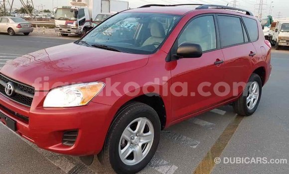 Hividy Toyota RAV4 Red Car in Import - Dubai in Diana Hividy Toyota RAV4 Red Car in Import - Dubai in Diana