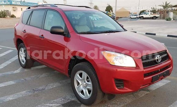 Hividy Toyota RAV4 Red Car in Import - Dubai in Diana Hividy Toyota RAV4 Red Car in Import - Dubai in Diana