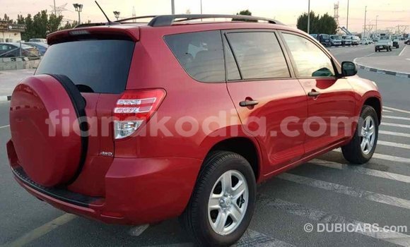 Hividy Toyota RAV4 Red Car in Import - Dubai in Diana Hividy Toyota RAV4 Red Car in Import - Dubai in Diana
