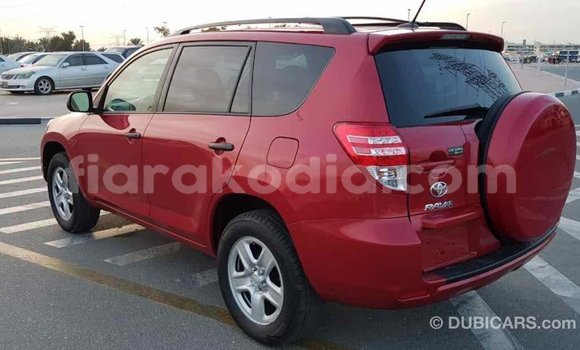 Hividy Toyota RAV4 Red Car in Import - Dubai in Diana Hividy Toyota RAV4 Red Car in Import - Dubai in Diana