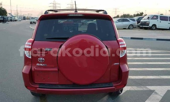 Hividy Toyota RAV4 Red Car in Import - Dubai in Diana Hividy Toyota RAV4 Red Car in Import - Dubai in Diana