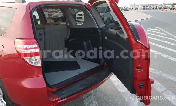 Hividy Toyota RAV4 Red Car in Import - Dubai in Diana Hividy Toyota RAV4 Red Car in Import - Dubai in Diana