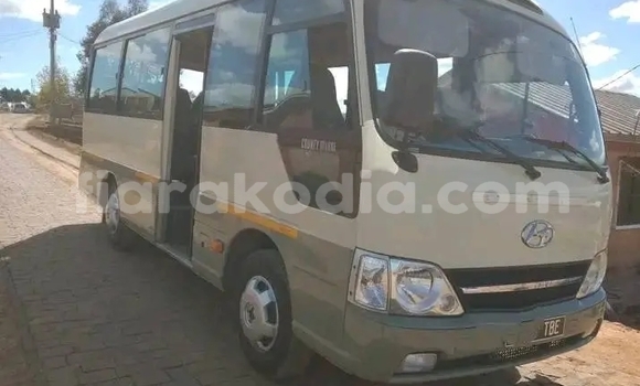 Hividy Hyundai Chorus beige Truck in Antananarivo in Analamanga Hividy Hyundai Chorus beige Truck in Antananarivo in Analamanga