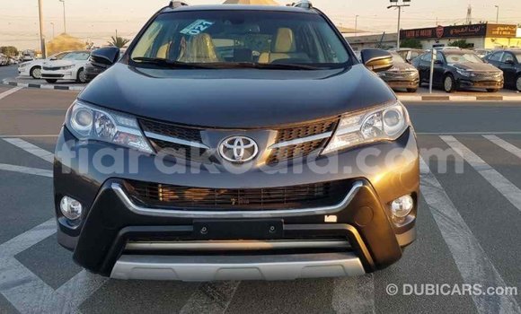 Hividy Toyota RAV4 Hafa Car in Import - Dubai in Diana Hividy Toyota RAV4 Hafa Car in Import - Dubai in Diana