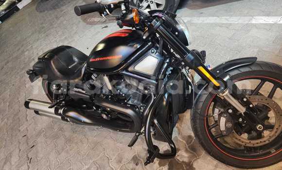 Acheter Occasion Moto Harley Davidson VRSC Noir à Ambalavao, Haute Matsiatra