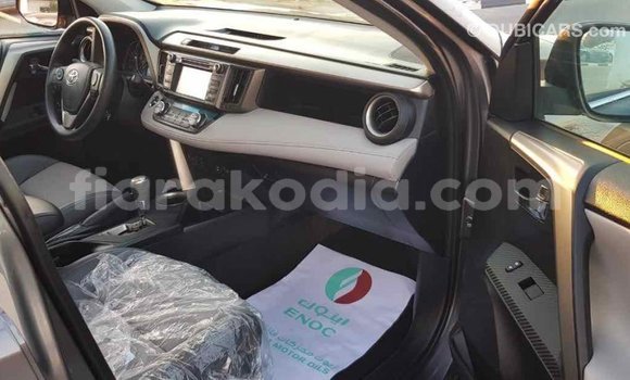 Hividy Toyota RAV4 Hafa Car in Import - Dubai in Diana Hividy Toyota RAV4 Hafa Car in Import - Dubai in Diana