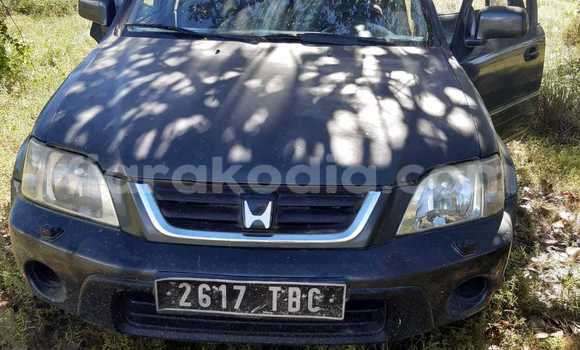 Acheter Occasion Voiture Honda CR–V Gris à Ambilobe, Diana Acheter Occasion Voiture Honda CR–V Gris à Ambilobe, Diana