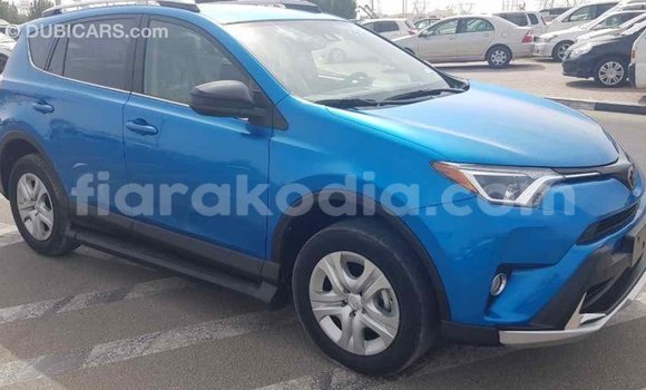 Hividy Toyota RAV4 Blue Car in Import - Dubai in Diana Hividy Toyota RAV4 Blue Car in Import - Dubai in Diana