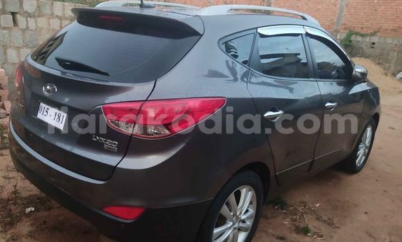 Hividy Hyundai Tucson Hafa Car in Antananarivo in Analamanga Hividy Hyundai Tucson Hafa Car in Antananarivo in Analamanga