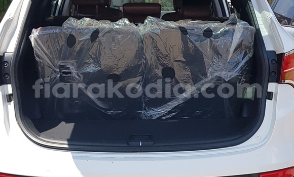 Buy Import Hyundai Santa Fe White Car in Antananarivo in Analamanga Buy Import Hyundai Santa Fe White Car in Antananarivo in Analamanga