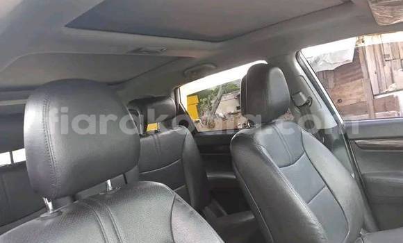 ❤︎ SUPPORT UPDATE ❤️☠️🖤 Midwest locals Heart To Gold (MN