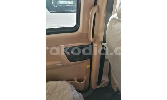 Hividy Hyundai Chorus fotsy Truck in Import - Dubai in Diana Hividy Hyundai Chorus fotsy Truck in Import - Dubai in Diana