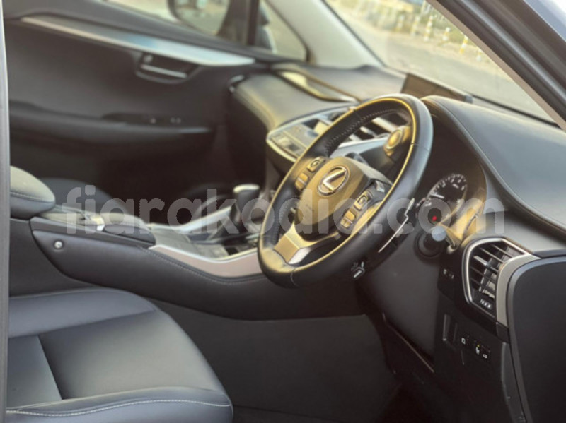 Big with watermark lexus nx haute matsiatra ambalavao 7881