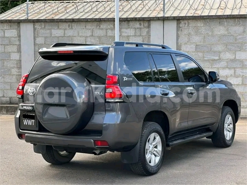 Big with watermark toyota prado diana ambanja 7913