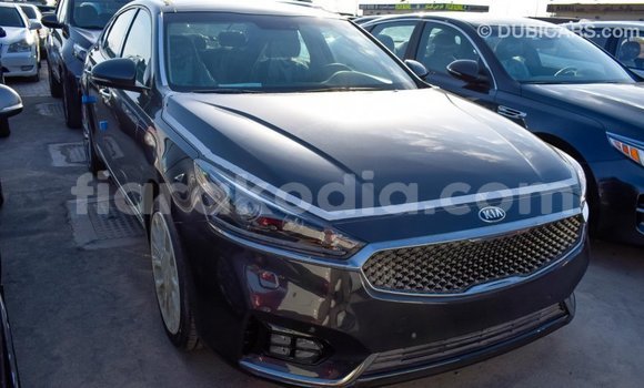 Hividy Kia Cadenza Hafa Car in Import - Dubai in Diana Hividy Kia Cadenza Hafa Car in Import - Dubai in Diana