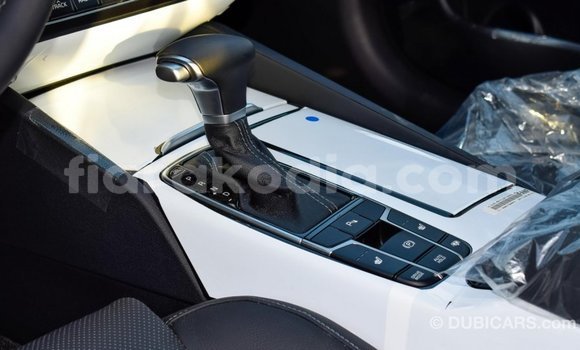 Hividy Kia Cadenza Hafa Car in Import - Dubai in Diana Hividy Kia Cadenza Hafa Car in Import - Dubai in Diana