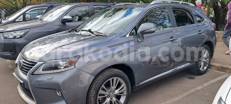 Big with watermark lexus rx analamanga antananarivo 8061