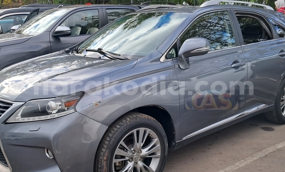 Acheter Occasion Voiture Lexus RX Gris à Antananarivo, Analamanga