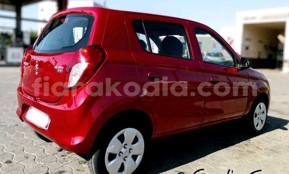 Buy Used Suzuki Alto Red Car in Ambatondrazaka in Alaotra-Mangoro Buy Used Suzuki Alto Red Car in Ambatondrazaka in Alaotra-Mangoro