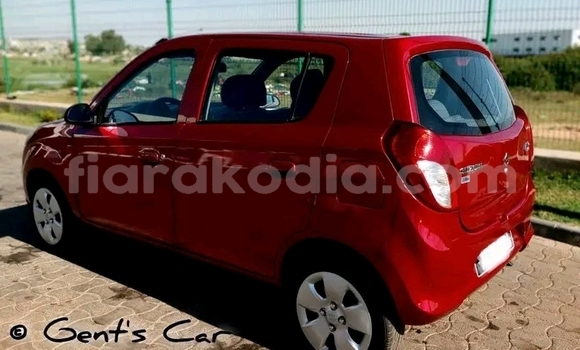 Buy Used Suzuki Alto Red Car in Ambatondrazaka in Alaotra-Mangoro Buy Used Suzuki Alto Red Car in Ambatondrazaka in Alaotra-Mangoro