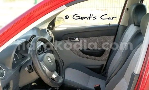 Buy Used Suzuki Alto Red Car in Ambatondrazaka in Alaotra-Mangoro Buy Used Suzuki Alto Red Car in Ambatondrazaka in Alaotra-Mangoro