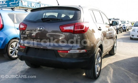 Hividy Kia Sportage Brown Car in Import - Dubai in Diana Hividy Kia Sportage Brown Car in Import - Dubai in Diana