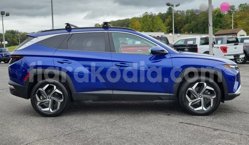 Big with watermark hyundai tucson haute matsiatra ambalavao 8204