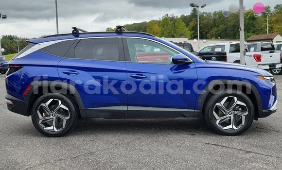 Acheter Occasion Voiture Hyundai Tucson Bleu à Ambalavao, Haute Matsiatra Acheter Occasion Voiture Hyundai Tucson Bleu à Ambalavao, Haute Matsiatra