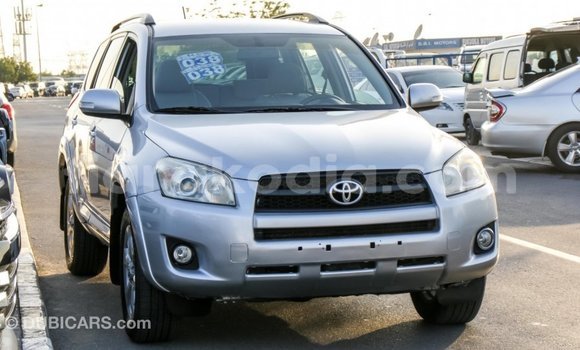 Hividy Toyota RAV4 Hafa Car in Import - Dubai in Diana Hividy Toyota RAV4 Hafa Car in Import - Dubai in Diana