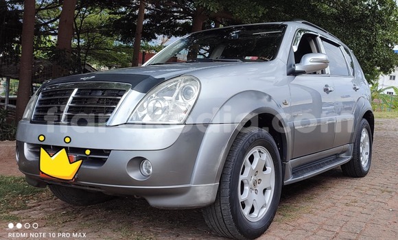 Acheter Occasion Voiture SsangYong Rexton Gris à Antananarivo, Analamanga
