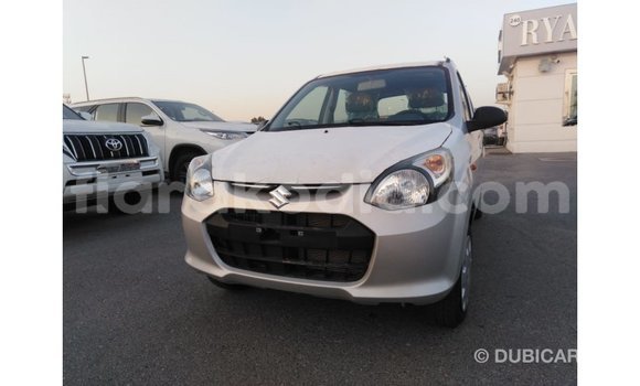 Hividy Suzuki Alto Hafa Car in Import - Dubai in Diana Hividy Suzuki Alto Hafa Car in Import - Dubai in Diana