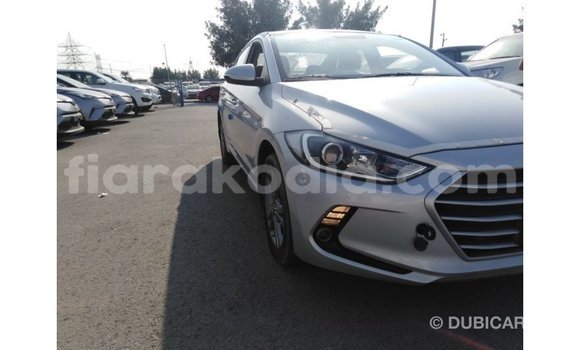 Hividy Hyundai Elantra Hafa Car in Import - Dubai in Diana Hividy Hyundai Elantra Hafa Car in Import - Dubai in Diana