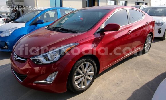 Acheter Import Voiture Hyundai Elantra Rouge à Import - Dubai, Diana Acheter Import Voiture Hyundai Elantra Rouge à Import - Dubai, Diana