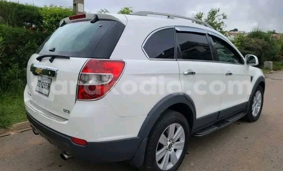 Acheter Occasion Voiture Chevrolet Evanda Blanc à Ambatomainty , Melaky Acheter Occasion Voiture Chevrolet Evanda Blanc à Ambatomainty , Melaky